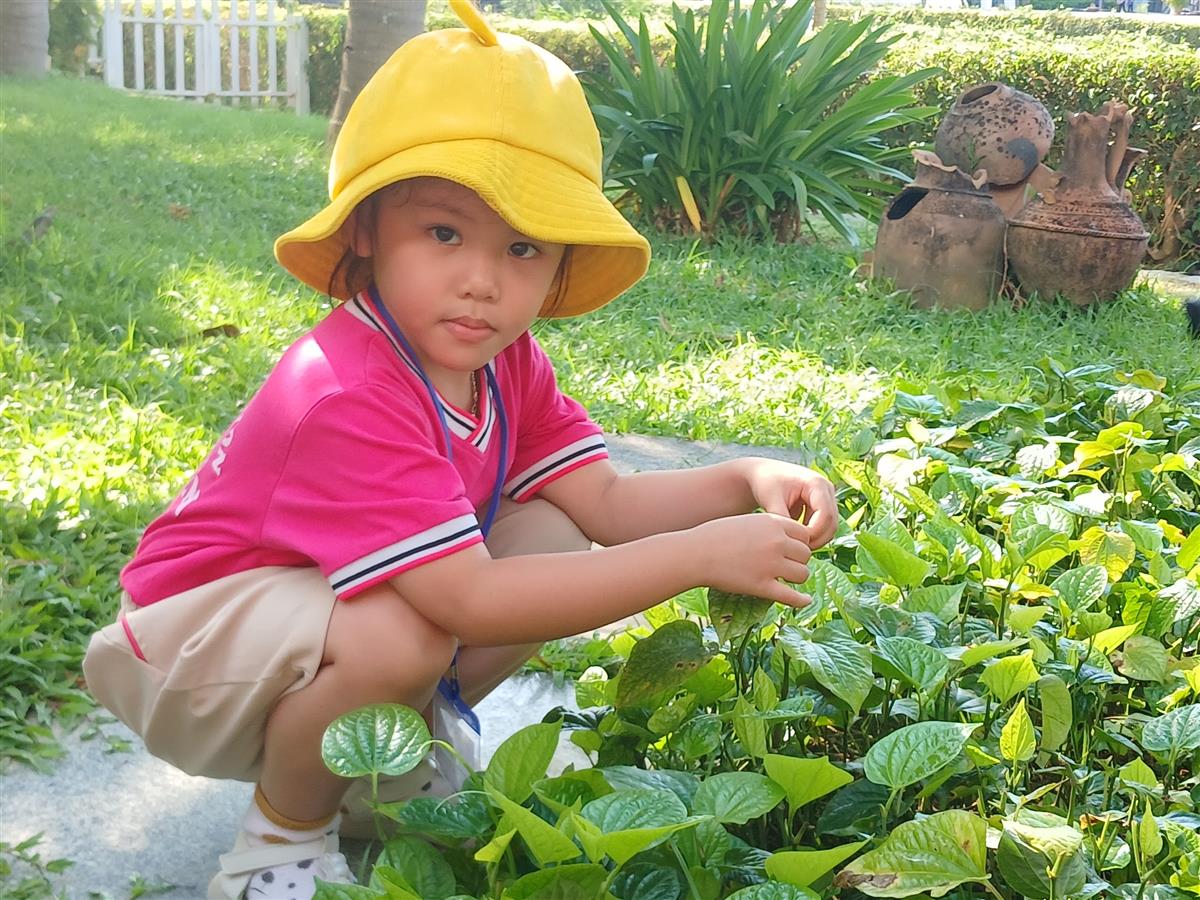B&eacute; tham quan vườn rau